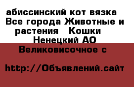 абиссинский кот вязка - Все города Животные и растения » Кошки   . Ненецкий АО,Великовисочное с.